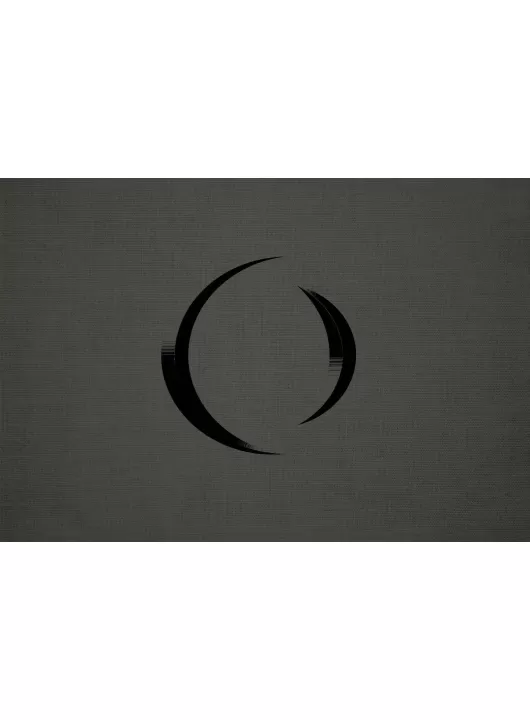 A PERFECT CIRCLE APC BAND ALBUM ARTWORK DECOR WALL ART PRINT PREMIUM POSTER