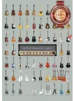 VISUAL CHART GUIDE OF WORLD FAMOUS GUITARS MUSIC WALL PRINT PREMIUM POSTER