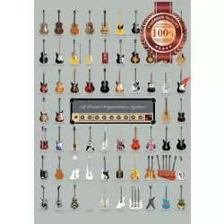 VISUAL CHART GUIDE OF WORLD FAMOUS GUITARS MUSIC WALL PRINT PREMIUM POSTER