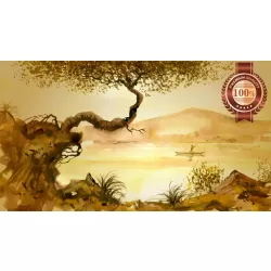 CHINESE LANDSCAPE SCENE ARTWORK PAINTING HOME DECOR ART PRINT PREMIUM POSTER