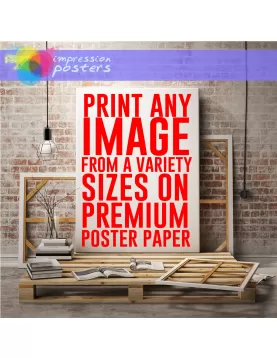 CUSTOM POSTER SIZES PRINTS PRINT YOUR OWN IMAGES PHOTOS ARTWORK ON PREMIUM PAPER