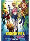 BIRDS OF PREY HARLEY QUINN 2020 OFFICIAL CINEMA MOVIE PRINT PREMIUM POSTER BIRDS OF PREY HARLEY QUINN 2020 OFFICIAL CINEMA MOVIE PRINT PREMIUM POSTER