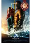 AQUAMAN STANDING DC OFFICIAL ORIGINAL CINEMA FILM MOVIE PRINT PREMIUM POSTER