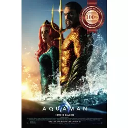 AQUAMAN STANDING DC OFFICIAL ORIGINAL CINEMA FILM MOVIE PRINT PREMIUM POSTER
