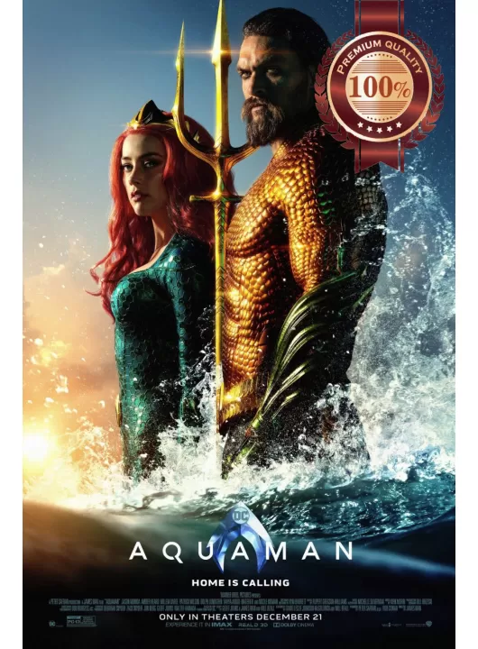 AQUAMAN STANDING DC OFFICIAL ORIGINAL CINEMA FILM MOVIE PRINT PREMIUM POSTER