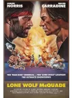 LONE WOLF McQUADE 1983 ORIGINAL OFFICIAL CINEMA MOVIE FILM PRINT PREMIUM POSTER