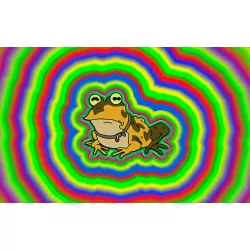 LARGE FUTURAMA HYPNOTOAD FUNNY FROG ABSTRACT ARTWORK WALL ART PRINT POSTER