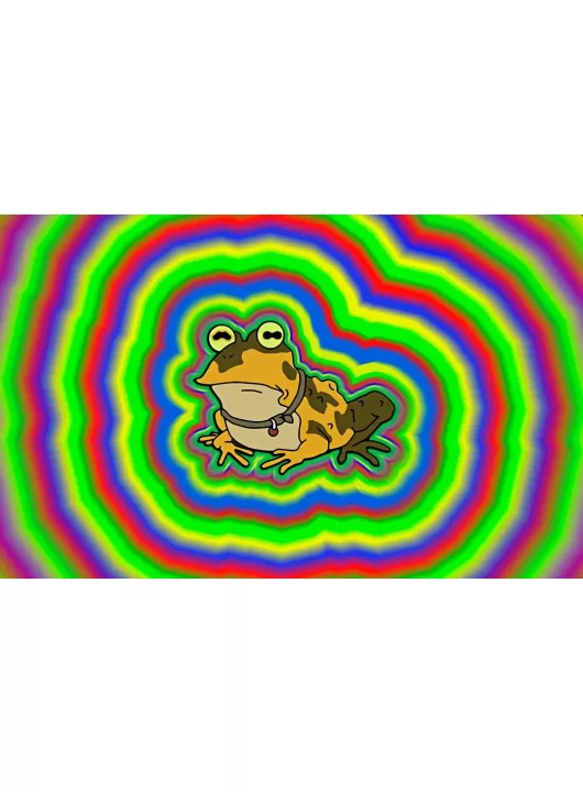 LARGE FUTURAMA HYPNOTOAD FUNNY FROG ABSTRACT ARTWORK WALL ART PRINT POSTER