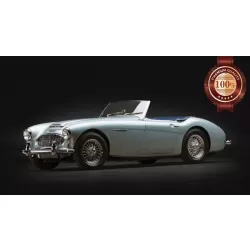 AUSTIN HEALEY 3000 MK 1 2 III 3 CLASSIC CAR SPORTS VEHICLE PRINT PREMIUM POSTER
