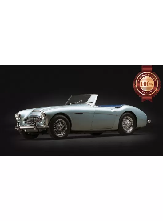 AUSTIN HEALEY 3000 MK 1 2 III 3 CLASSIC CAR SPORTS VEHICLE PRINT PREMIUM POSTER