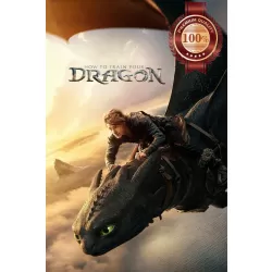 HOW TO TRAIN YOUR DRAGON 2025 ORIGINAL MOVIE FILM CINEMA PRINT PREMIUM POSTER