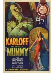 THE MUMMY 1932 30s KARLOFF ORIGINAL CINEMA MOVIE FILM PRINT PREMIUM POSTER THE MUMMY 1932 30s KARLOFF ORIGINAL CINEMA MOVIE FILM PRINT PREMIUM POSTER
