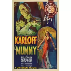 THE MUMMY 1932 30s KARLOFF ORIGINAL CINEMA MOVIE FILM PRINT PREMIUM POSTER