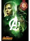 INFINITY WAR HEROES GREEN AVENGERS CINEMA MOVIE FILM PRINT PREMIUM POSTER