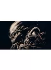 ALIENS THE ALIEN CREATURE PROFILE MOVIE WALL HOME ART PRINT PREMIUM POSTER
