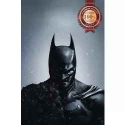 BATMAN ARKHAM ORIGINS MOVIE GAME HOME DECOR WALL ART PRINT PREMIUM POSTER