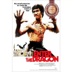 ENTER THE DRAGON 1973 70s BRUCE LEE ORIGINAL CINEMA FILM MOVIE PRINT PREMIUM POSTER
