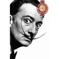 SALVADOR DALI FUNNY MUSTACHE HOME DECOR ORIGINAL PHOTO PRINT PREMIUM POSTER