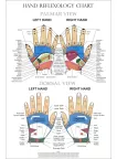 HAND REFLEXOLOGY CHART SYSTEM ANATOMICAL DIAGRAM GUIDE PRINT PREMIUM POSTER
