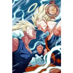 GOKU VS VEGETA FIGHTING SUPER SAIYAN DRAGON BALL Z TV SHOW PRINT PREMIUM POSTER