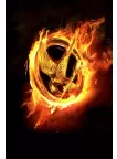 LARGE HUNGER GAMES 2012 CATCHING FIRE LOGO MOVIE PICTURE ART PRINT PREMIUM POSTER