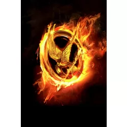 LARGE HUNGER GAMES CATCHING FIRE LOGO MOVIE PICTURE ART PRINT PREMIUM POSTER