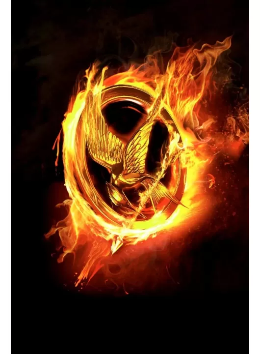 LARGE HUNGER GAMES 2012 CATCHING FIRE LOGO MOVIE PICTURE ART PRINT PREMIUM POSTER