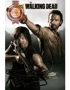 THE WALKING DEAD RICK GRIMES & DARYL DIXON TV SERIES SHOW PRINT PREMIUM POSTER