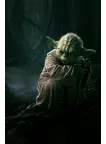 90x60CM YODA IN SWAMP DAGOBAH STAR WARS STARWARS ART PRINT PREMIUM POSTER 90x60CM YODA IN SWAMP DAGOBAH STAR WARS STARWARS ART PRINT PREMIUM POSTER