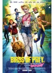 BIRDS OF PREY HARLEY QUINN 2020 OFFICIAL CINEMA MOVIE PRINT PREMIUM POSTER BIRDS OF PREY HARLEY QUINN 2020 OFFICIAL CINEMA MOVIE PRINT PREMIUM POSTER