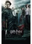 HARRY POTTER AND THE GOBLET OF FIRE 05 MOVIE FILM ORIGINAL PRINT PREMIUM POSTER HARRY POTTER AND THE GOBLET OF FIRE 05 MOVIE FILM ORIGINAL PRINT PREMIUM POSTER