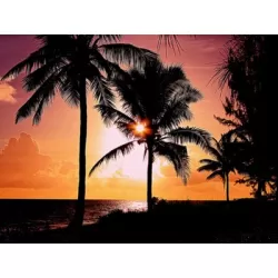 LARGE SUNSET ON THE BEACH OASIS BEAUTIFUL ART PHOTO PRINT PREMIUM POSTER