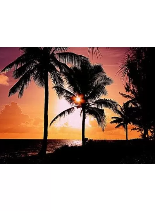 LARGE SUNSET ON THE BEACH OASIS BEAUTIFUL ART PHOTO PRINT PREMIUM POSTER