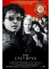 THE LOST BOYS 1987 80s ORIGINAL OFFICIAL CINEMA FILM MOVIE PRINT PREMIUM POSTER