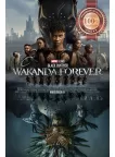 BLACK PANTHER WAKANDA FOREVER 2022 ORIGINAL CINEMA MOVIE PRINT PREMIUM POSTER
