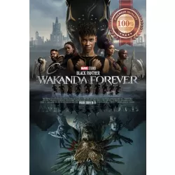 BLACK PANTHER WAKANDA FOREVER 2022 ORIGINAL CINEMA MOVIE PRINT PREMIUM POSTER