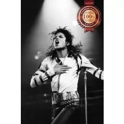 MICHAEL JACKSON CONCERT SINGING MUSIC PHOTO HOME WALL PRINT PREMIUM POSTER