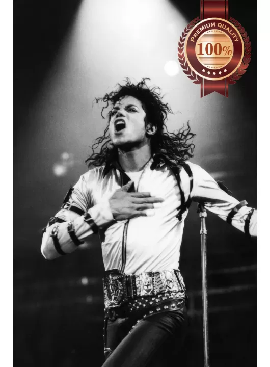 MICHAEL JACKSON CONCERT SINGING MUSIC PHOTO HOME WALL PRINT PREMIUM POSTER MICHAEL JACKSON CONCERT SINGING MUSIC PHOTO HOME WALL PRINT PREMIUM POSTER