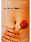 AMERICAN BEAUTY MOVIE 1999 90s FILM ORIGINAL CINEMA ART PRINT PREMIUM POSTER