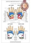 HAND REFLEXOLOGY CHART SYSTEM ANATOMICAL DIAGRAM GUIDE PRINT PREMIUM POSTER