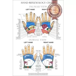 HAND REFLEXOLOGY CHART SYSTEM ANATOMICAL DIAGRAM GUIDE PRINT PREMIUM POSTER