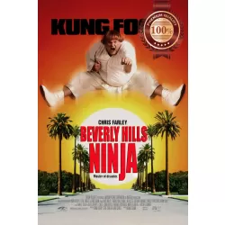 BEVERLY HILLS NINJA CHRIS FARLEY ORIGINAL CINEMA MOVIE PRINT PREMIUM POSTER