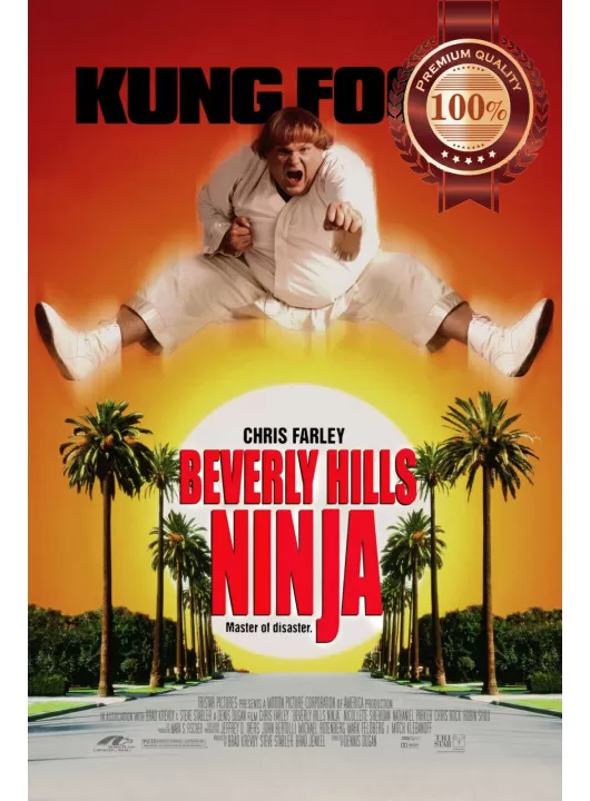 BEVERLY HILLS NINJA CHRIS FARLEY ORIGINAL CINEMA MOVIE PRINT PREMIUM POSTER