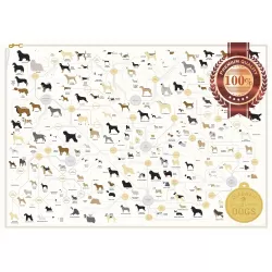 DIAGRAM OF DOGS CHART GUIDE INFORMATIONAL INFO TYPES OF DOG PRINT PREMIUM POSTER