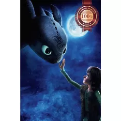 HOW TO TRAIN YOUR DRAGON 2010  HICCUP TOOTHLESS MOON WALL ART PRINT PREMIUM POSTER
