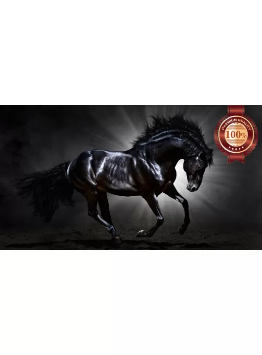 BLACK STALLION IN SPOT LIGHT GALLOPING HORSE ANIMAL PRINT PREMIUM POSTER BLACK STALLION IN SPOT LIGHT GALLOPING HORSE ANIMAL PRINT PREMIUM POSTER