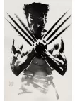 WOLVERINE X-MEN XMEN CLAWS ARTWORK FILM MOVIE WALL ART PRINT PREMIUM POSTER WOLVERINE X-MEN XMEN CLAWS ARTWORK FILM MOVIE WALL ART PRINT PREMIUM POSTER