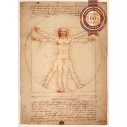 ORIGINAL VITRUVIAN MAN LEONARDO DA VINCI WALL ART PRINT PREMIUM POSTER