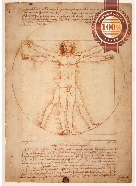 ORIGINAL VITRUVIAN MAN LEONARDO DA VINCI WALL ART PRINT PREMIUM POSTER ORIGINAL VITRUVIAN MAN LEONARDO DA VINCI WALL ART PRINT PREMIUM POSTER