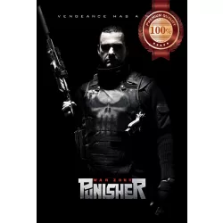 PUNISHER WAR ZONE 2008 OFFICIAL ORIGINAL CINEMA MOVIE PRINT PREMIUM POSTER